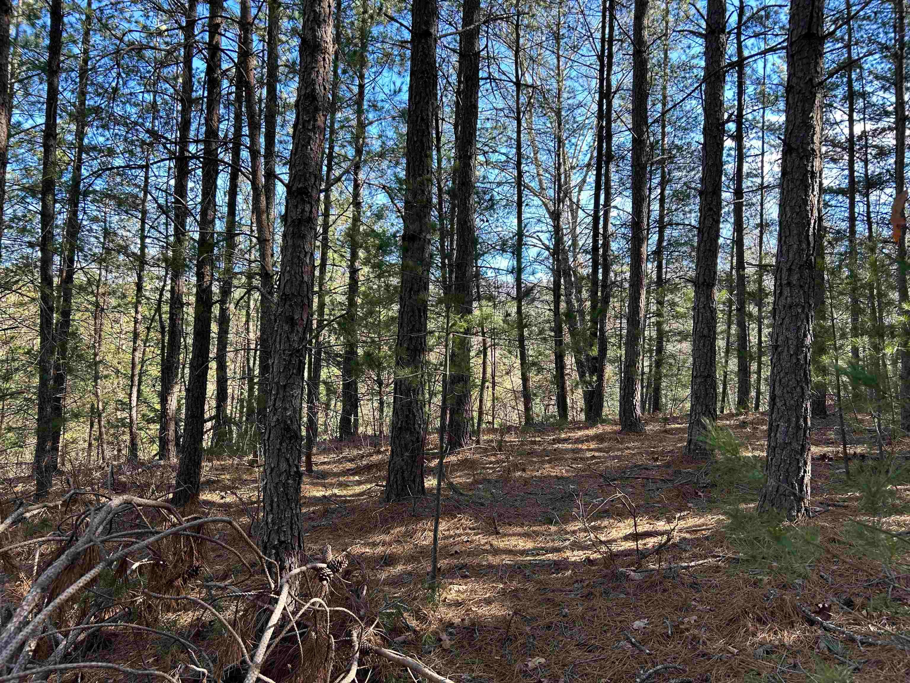 4266 Craig Creek Road Catawba, VA 24070 - Photo 26 of 44 Gallery Image 26