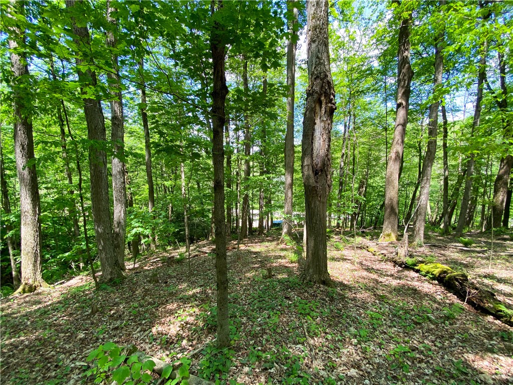 4880 Deusenberry Road Cohocton, NY 14826 - Photo 19 of 25