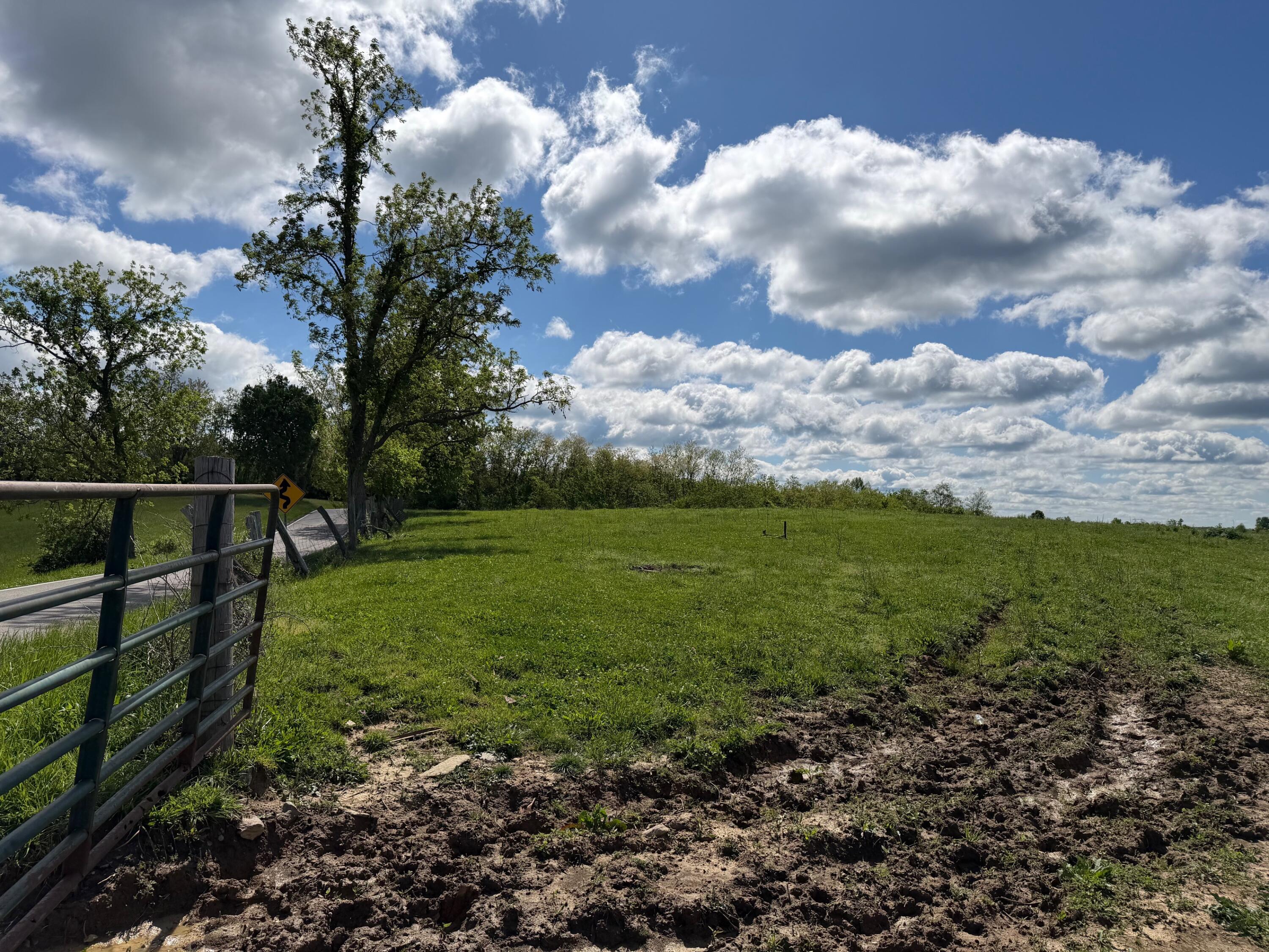 24.81-ac Chipman Ridge Road Williamstown, KY 41097 - Photo 4 of 17