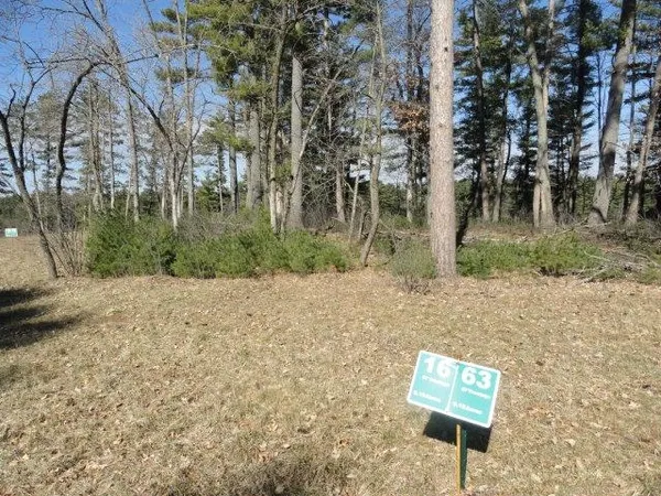 $98,500 | Lot 16 Fly Rod Trail, Wisconsin Rapids, WI 54494