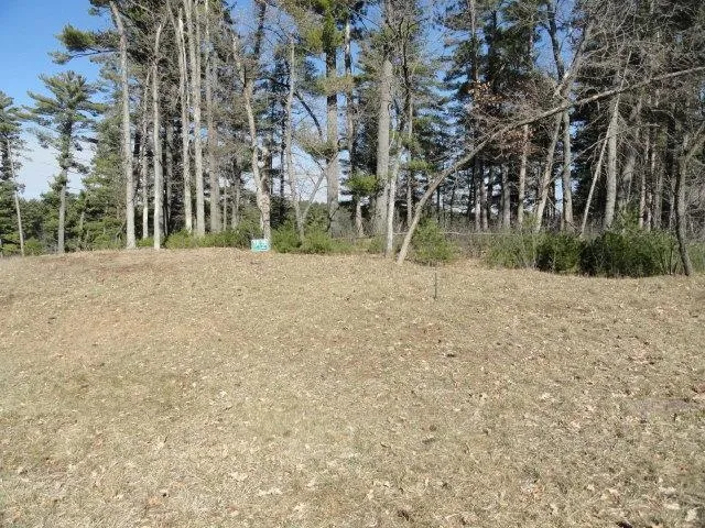 $97,000 | Lot 16 Fly Rod Trail, Wisconsin Rapids, WI 54494