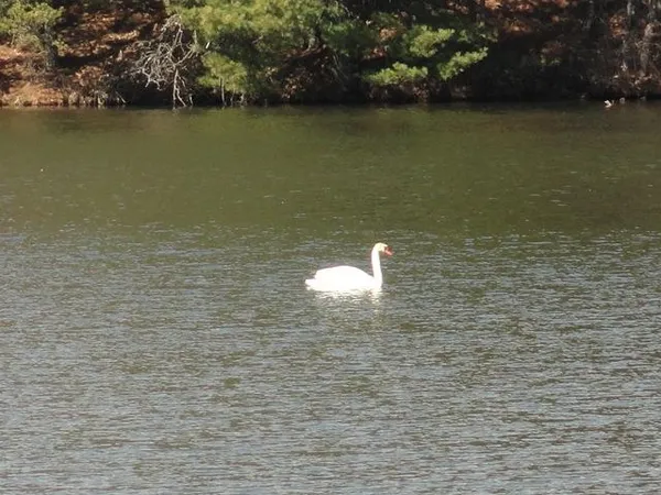 $98,500 | Lot 16 Fly Rod Trail, Wisconsin Rapids, WI 54494