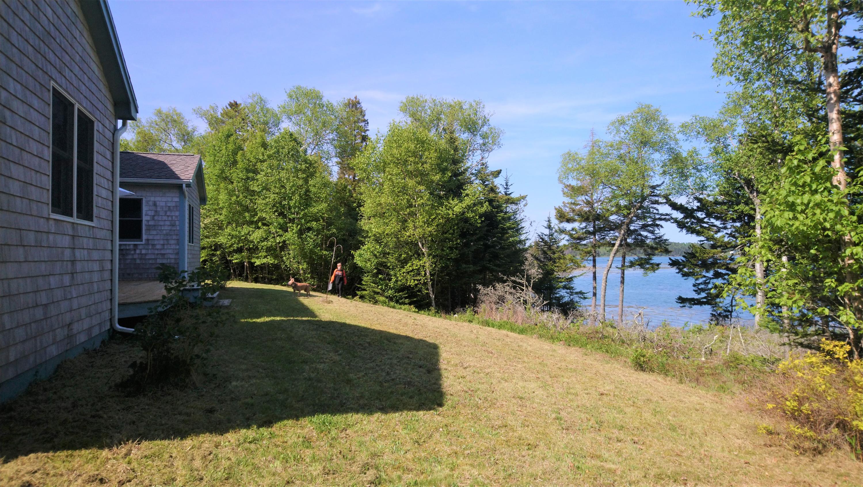 18 Dyers Point Road Addison, ME 04606 - Photo 6 of 50 backyard