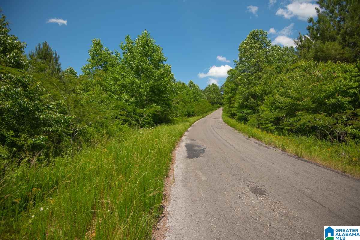 0 County Road 40, Unit 1 Arley, AL 35541 - Photo 7 of 11