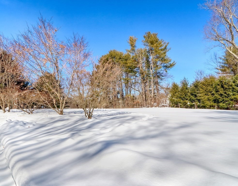 9 Meadowbrook Road Lincoln, MA 01773 - Photo 29 of 40
