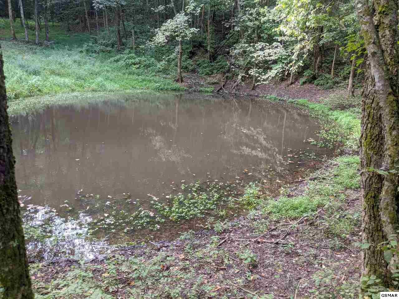 0 Blue Springs Road Strawberry Plains, TN 37871 - Photo 20 of 31 Gallery Image 20