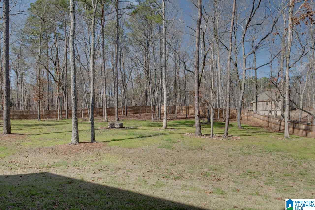 433 Highland Ridge Lane South Chelsea, AL 35043 - Photo 40 of 46 Gallery Image 40