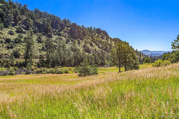 $300,000 | 14334 Reserve Road, Pine, CO 80470
