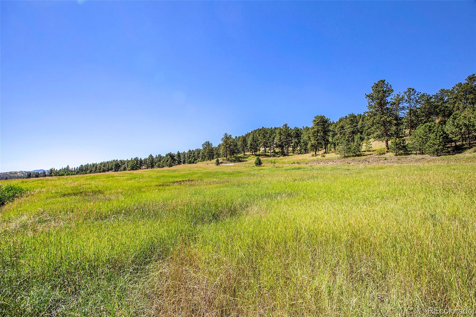 14334 Reserve Road Pine, CO 80470 - Photo 11 of 18