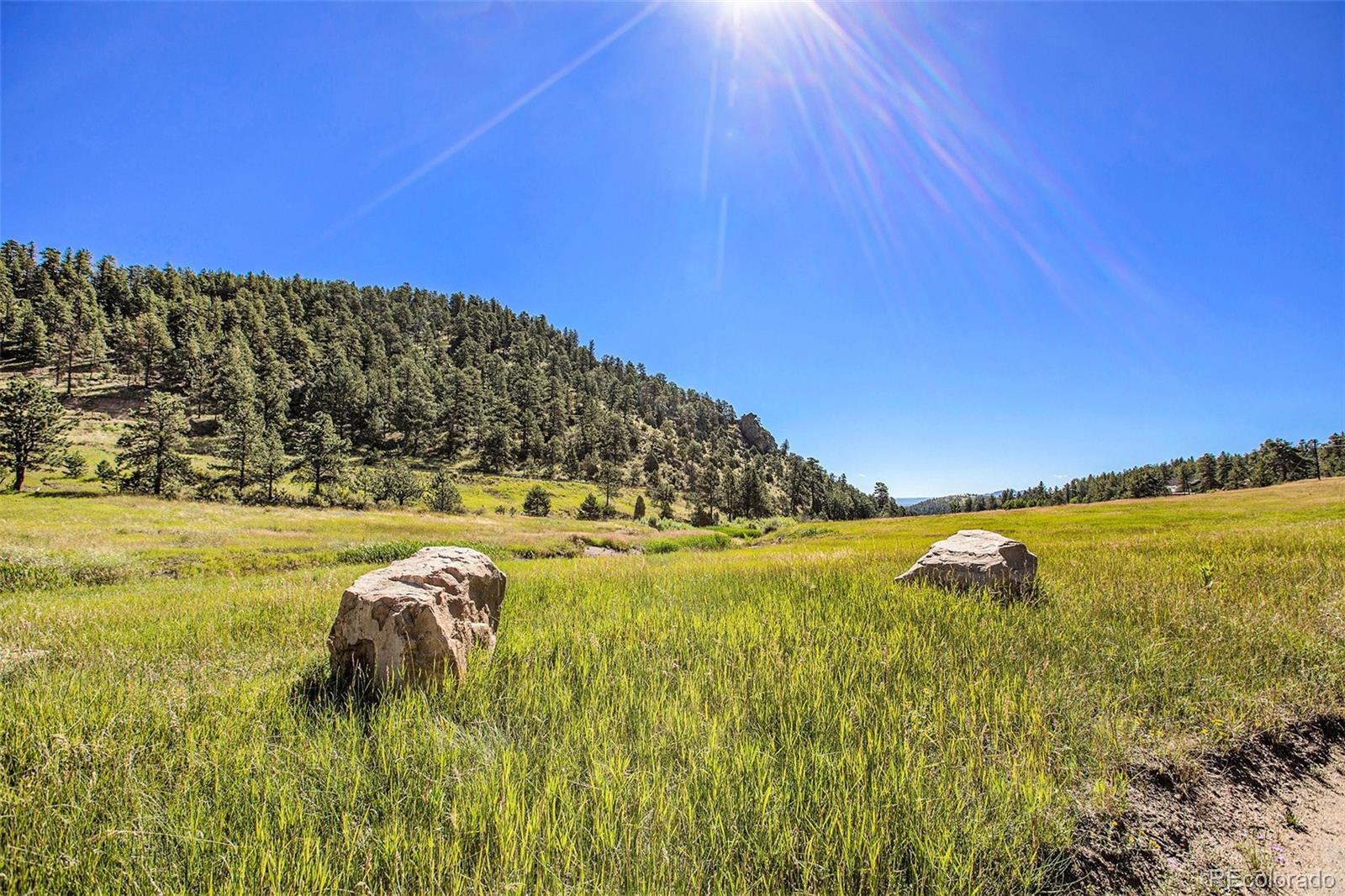 14334 Reserve Road Pine, CO 80470 - Photo 13 of 18