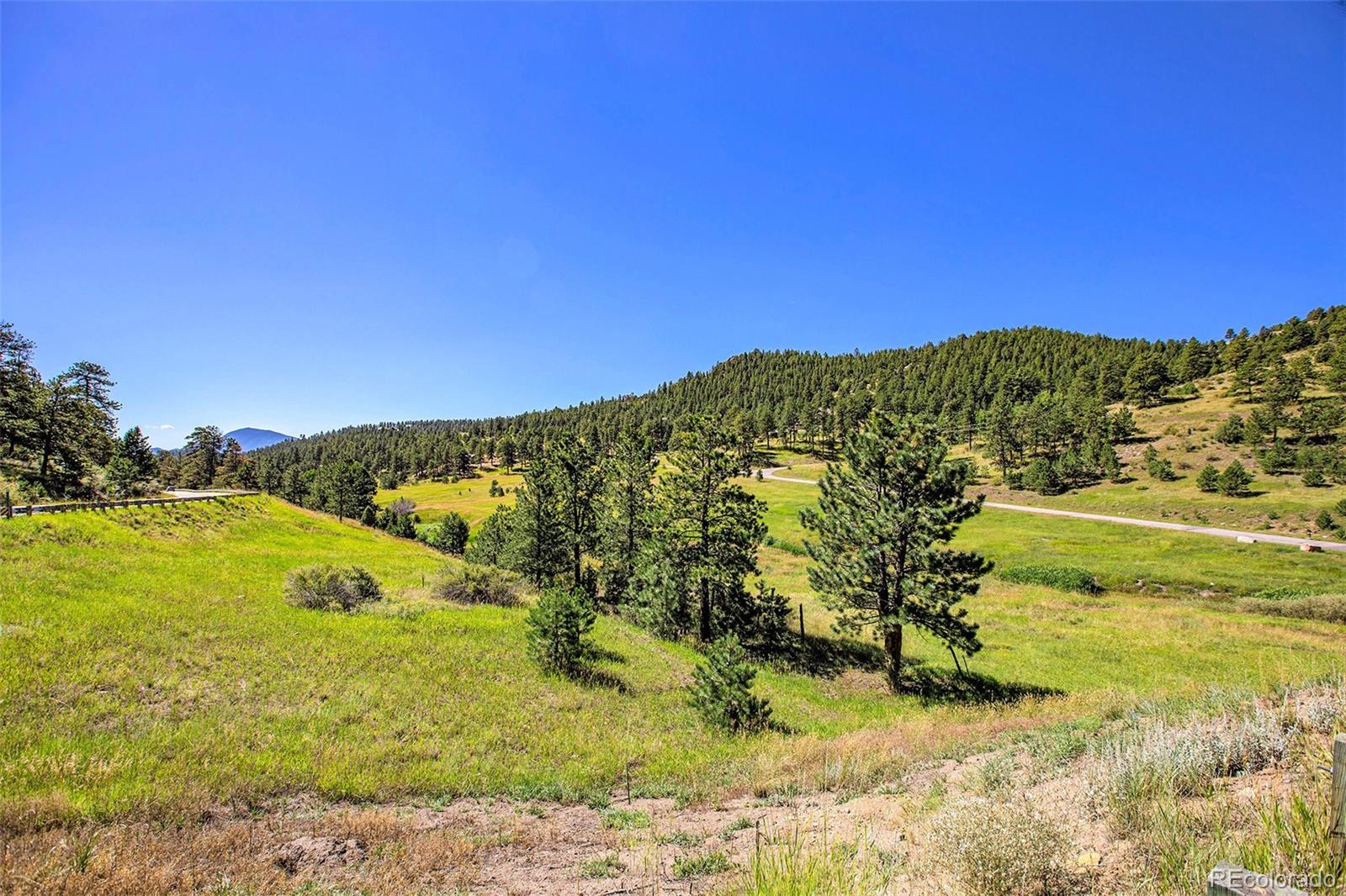 14334 Reserve Road Pine, CO 80470 - Photo 14 of 18