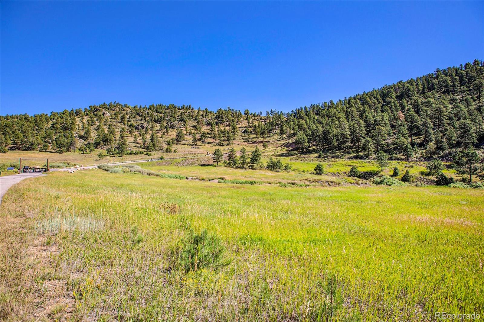 14334 Reserve Road Pine, CO 80470 - Photo 9 of 18