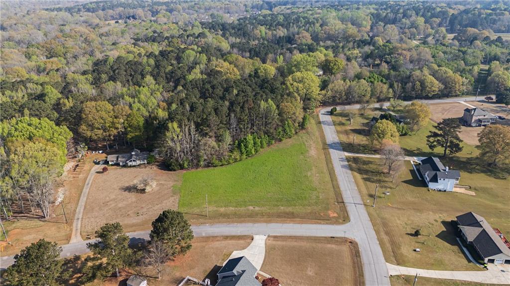 0 Bear Creek Trail Hampton, GA 30228 - Photo 2 of 6 an aerial view of a residential houses with outdoor space