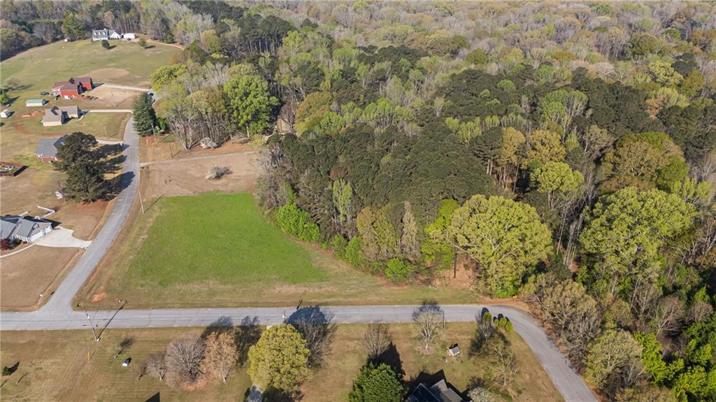 0 Bear Creek Trail Hampton, GA 30228 - Photo 3 of 6 a view of yard