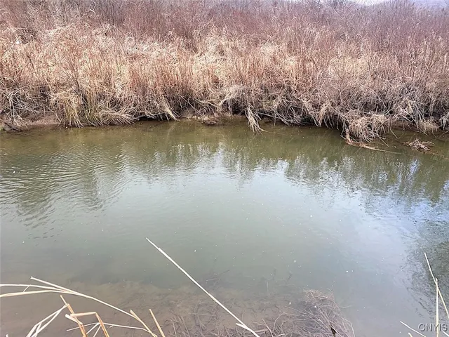 $106,900 | Cr-38, Alma, NY 14708