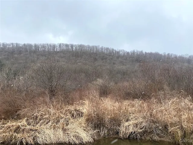 $106,900 | Cr-38, Alma, NY 14708