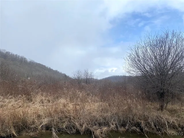 $106,900 | Cr-38, Alma, NY 14708