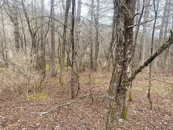 $106,900 | Cr-38, Alma, NY 14708