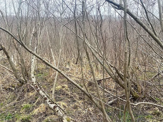 $106,900 | Cr-38, Alma, NY 14708