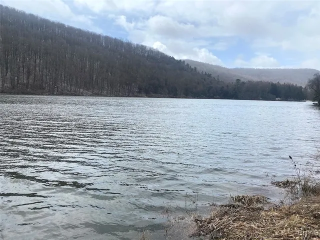 $106,900 | Cr-38, Alma, NY 14708