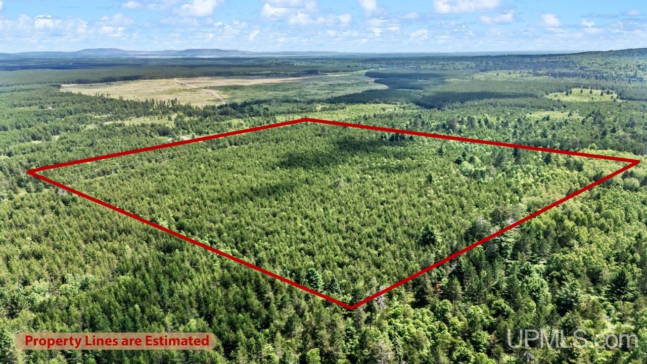 Tbd Bryan Creek Road Ishpeming, MI 49849 - Photo 3 of 16