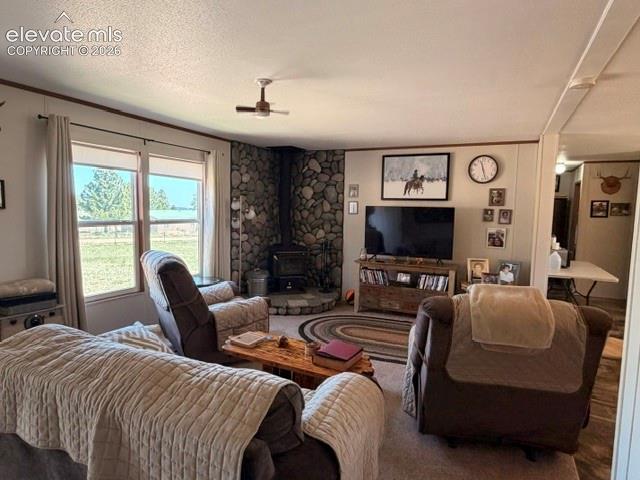 8084 Oak Drive Rye, CO 81069 - Photo 18 of 39 Gallery Image 18