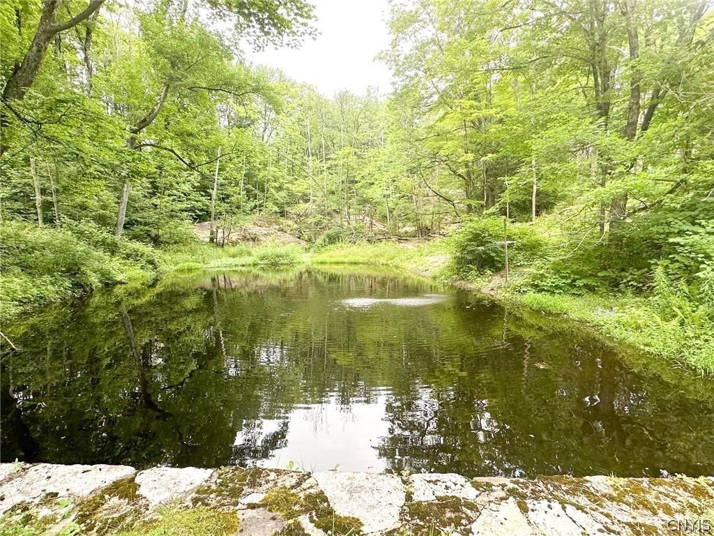 185 Dairy Hill Road Salisbury, NY 13365 - Photo 31 of 50