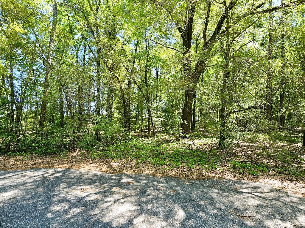 0 Reyes Strasse Ozark, AL 36360 - Photo 1 of 6