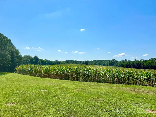 a view of green field with an ocean view