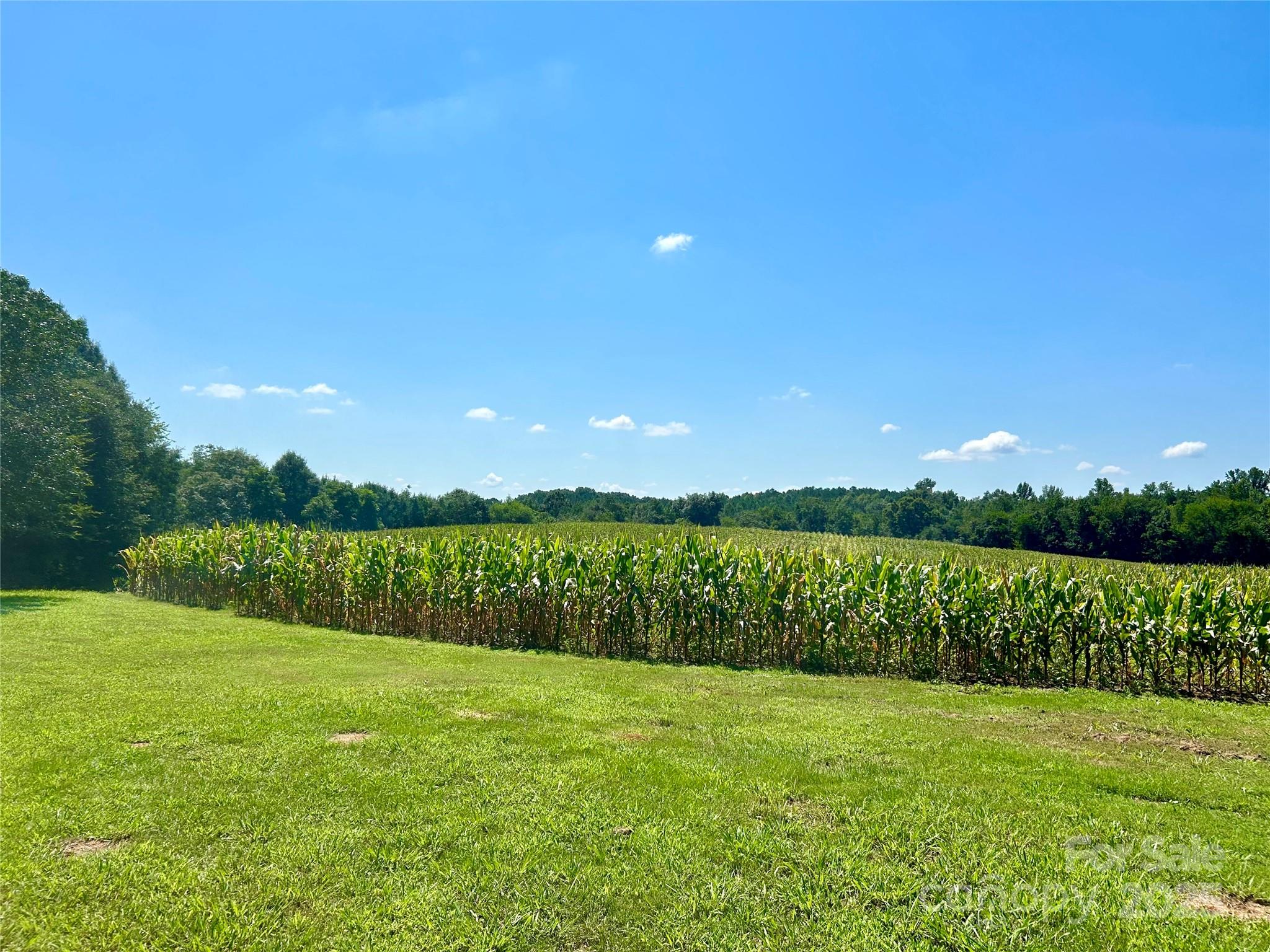0 Riverview Road Norwood, NC 28128 - Photo 2 of 2 a view of green field with an ocean view