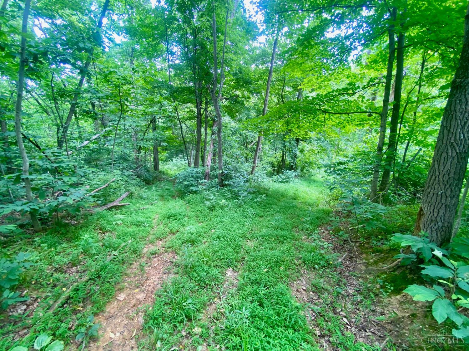 400 Lynn Morgan Road Seaman, OH 45679 - Photo 12 of 24