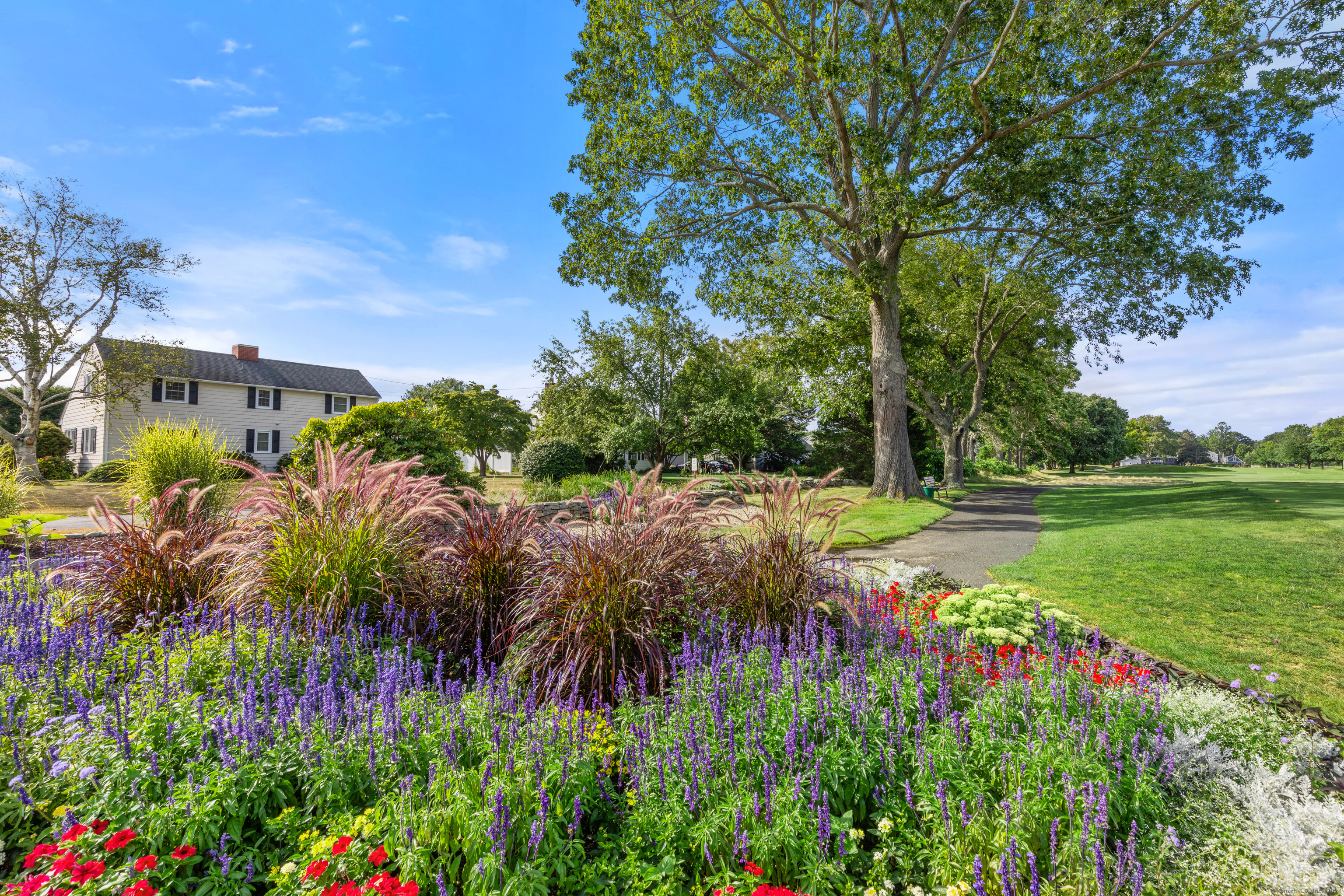 72 Cherry Lane Madison, CT 06443 - Photo 36 of 40 a view of a garden with flowers and trees