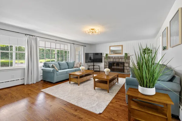 a living room with furniture fireplace and potted plant