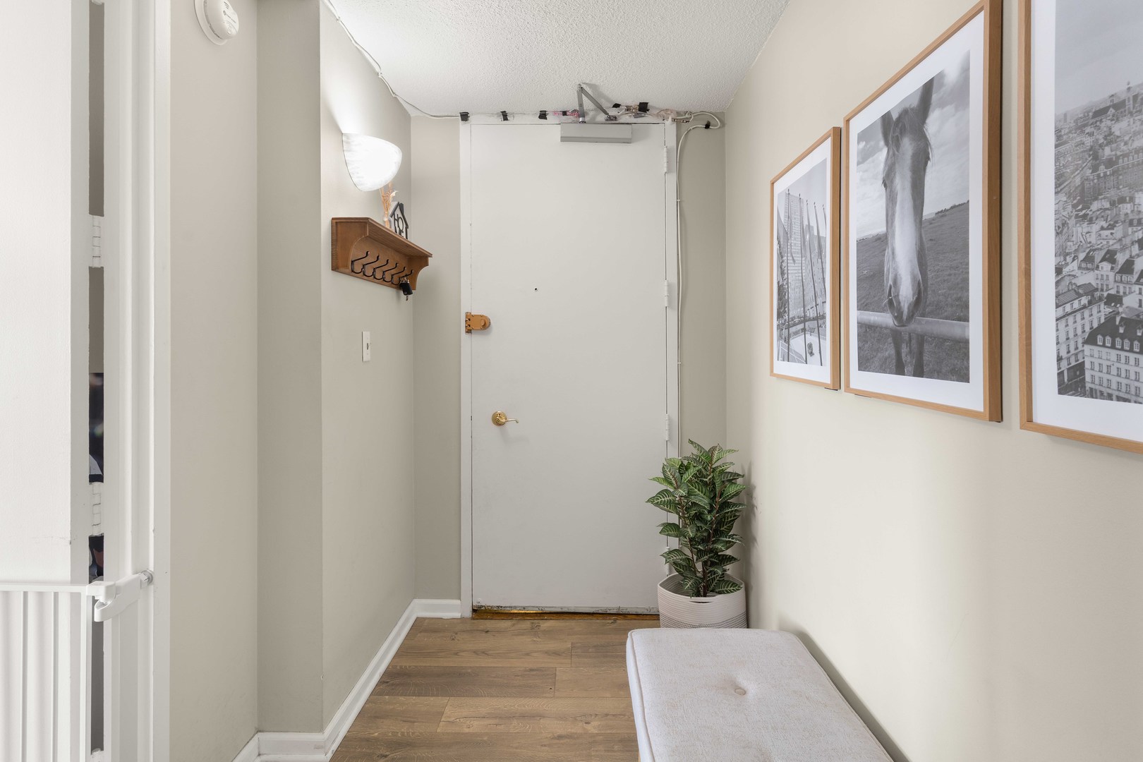 3110 North Sheridan Road, Unit 1205 Chicago, IL 60657 - Photo 15 of 21 a view of a bathroom with a potted plant