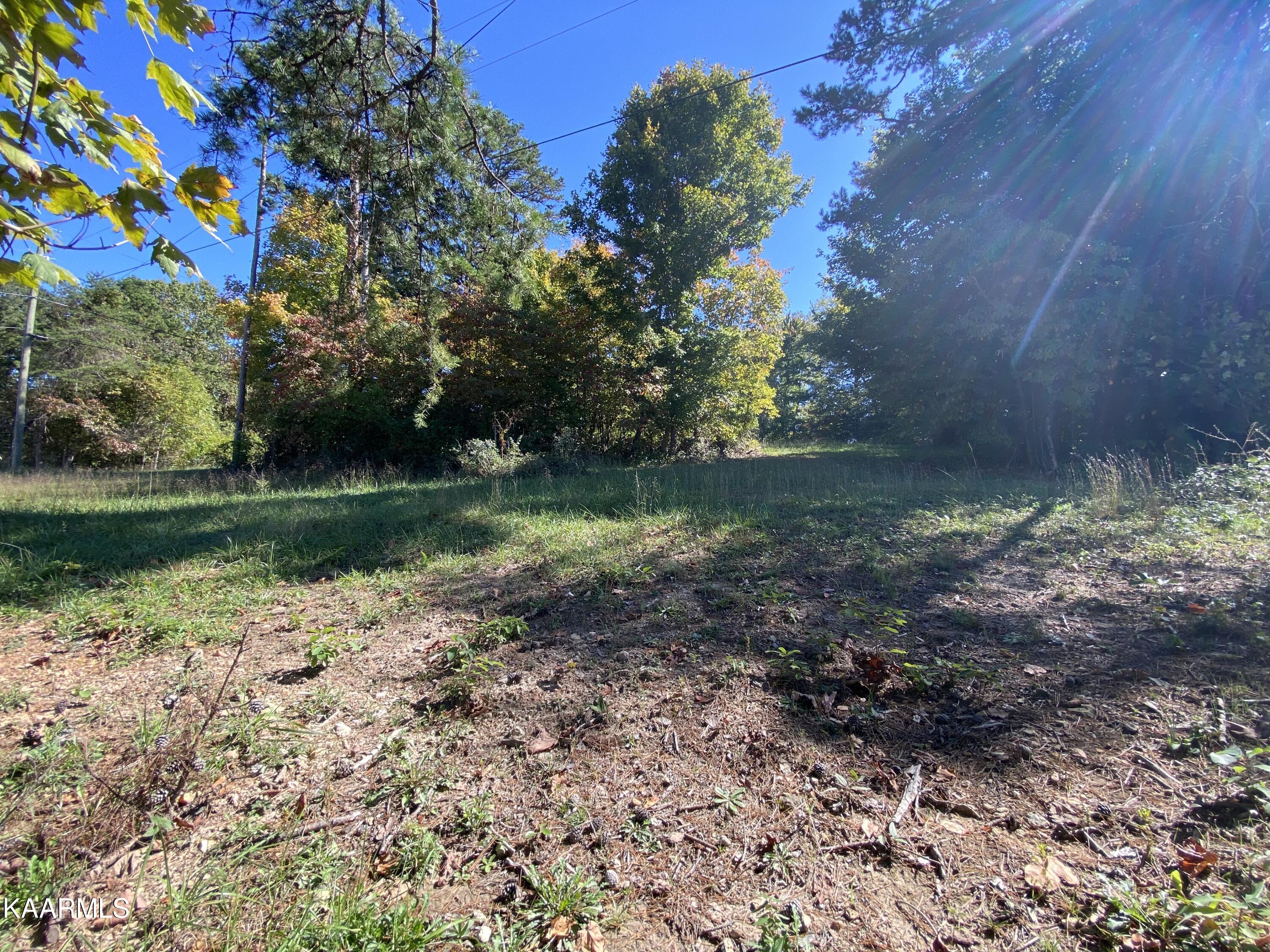Greenbriar Road Talbott, TN 37877 - Photo 3 of 3 ABCD63EC-366E-4FEB-ABA8-550343AF76C2