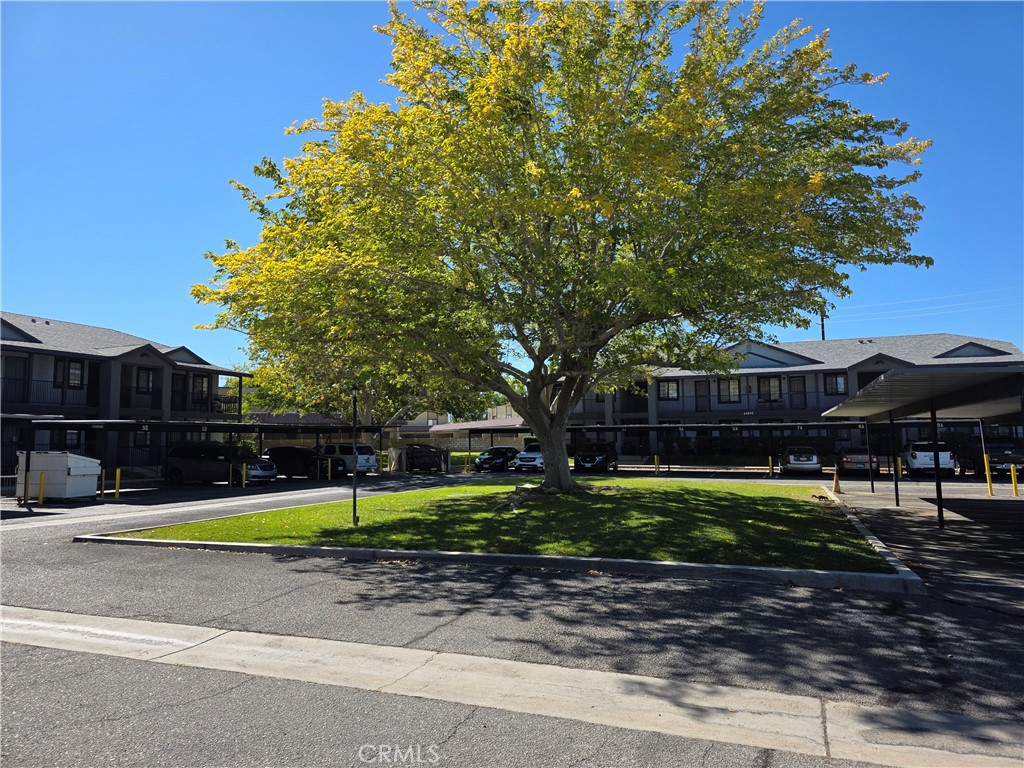 44036 25th Street West, Unit B7 Lancaster, CA 93536 - Photo 15 of 20 a view of a park with large trees and playing ground