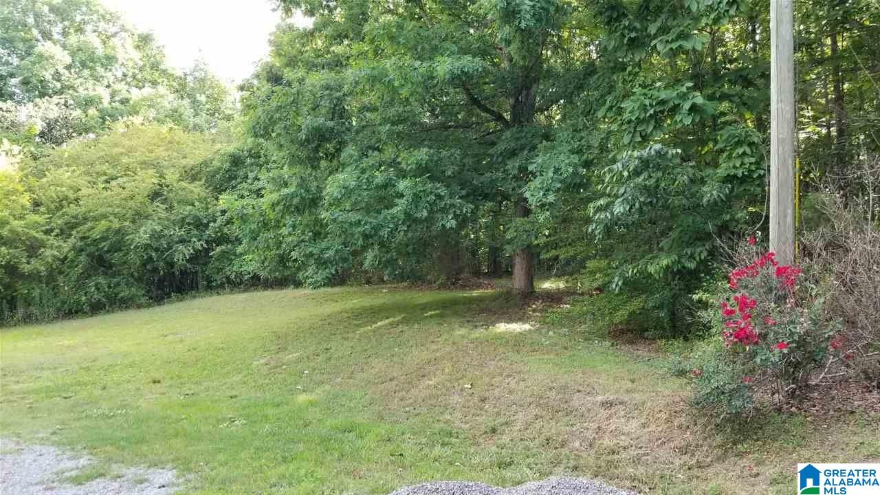 111 Old Baker Gap Road Boaz, AL 35956 - Photo 8 of 38