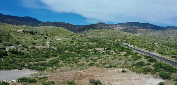 a view of a forest with a mountain