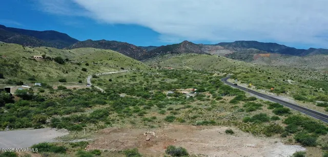 a view of a forest with a mountain