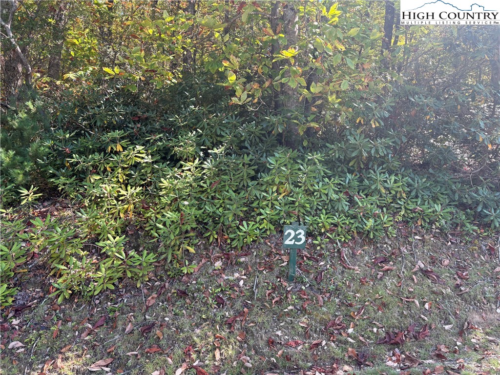 Fishers Peak View Ennice, NC 28623 - Photo 1 of 8 a view of a large yard with a tree