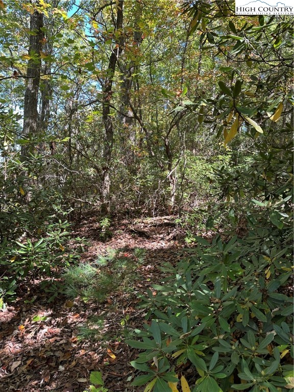 Fishers Peak View Ennice, NC 28623 - Photo 5 of 8 a view of a lush green forest