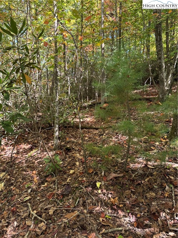 Fishers Peak View Ennice, NC 28623 - Photo 6 of 8 a view of a forest with a tree