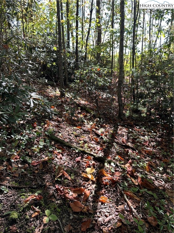 Fishers Peak View Ennice, NC 28623 - Photo 7 of 8 a view of a forest