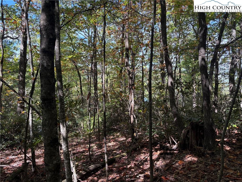 Fishers Peak View Ennice, NC 28623 - Photo 8 of 8