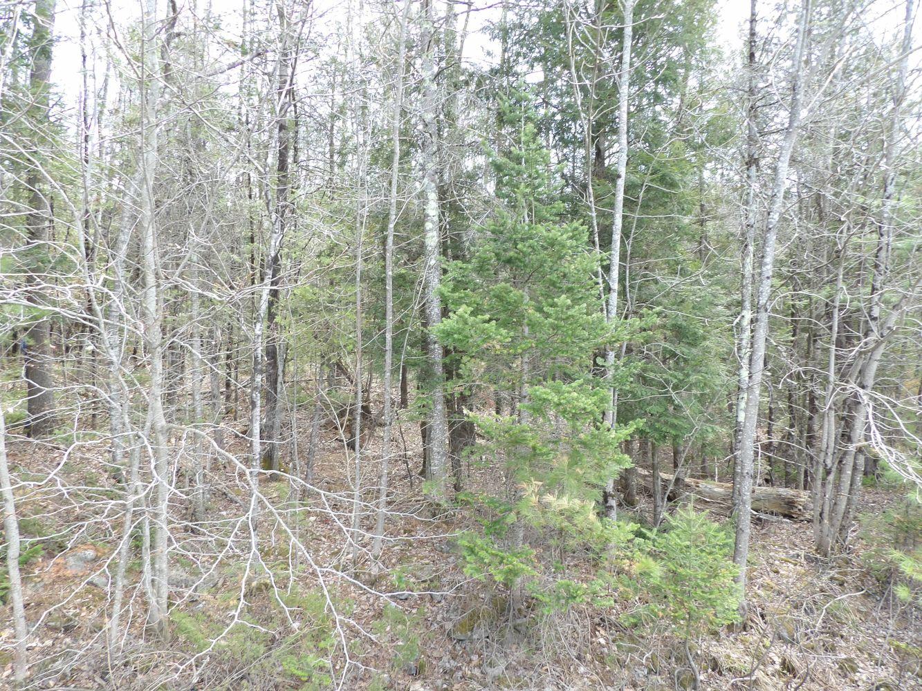 105 Notch Road Skowhegan, ME 04976 - Photo 3 of 10 101_0878