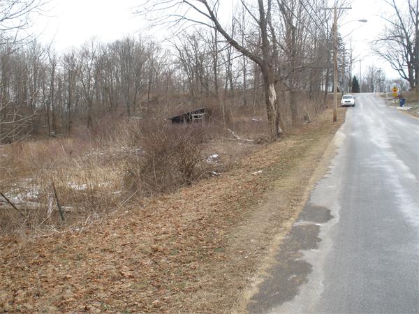 a view of a yard with trees