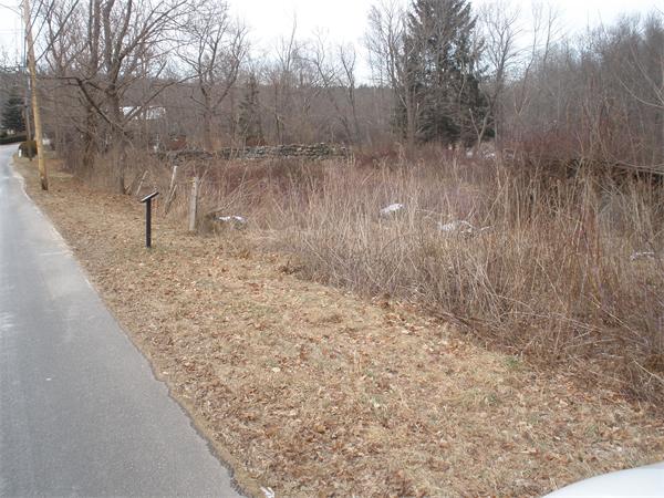 Lot Coldbrook Coldbrook Road Oakham, MA 01068 - Photo 3 of 5 a view of a dry yard with trees