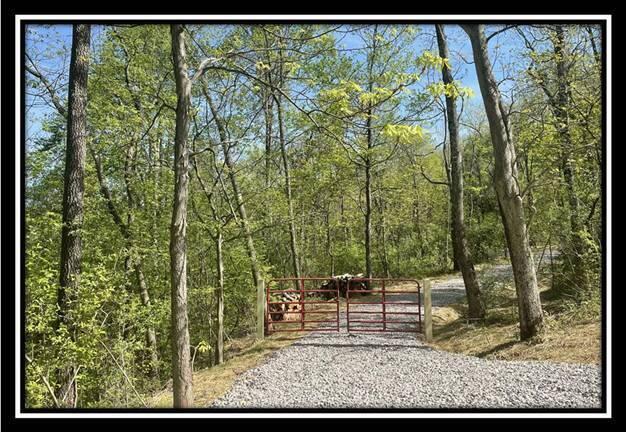 0 Shaver Road, Unit TRACT 1 Blue Rock, OH 43720 - Photo 1 of 31 image001