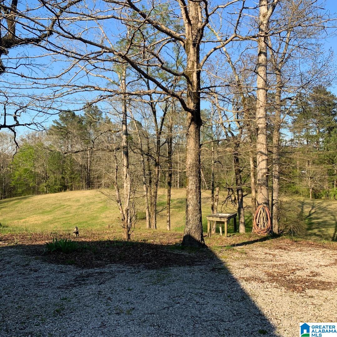 3745 Highway 144 Ohatchee, AL 36271 - Photo 12 of 47