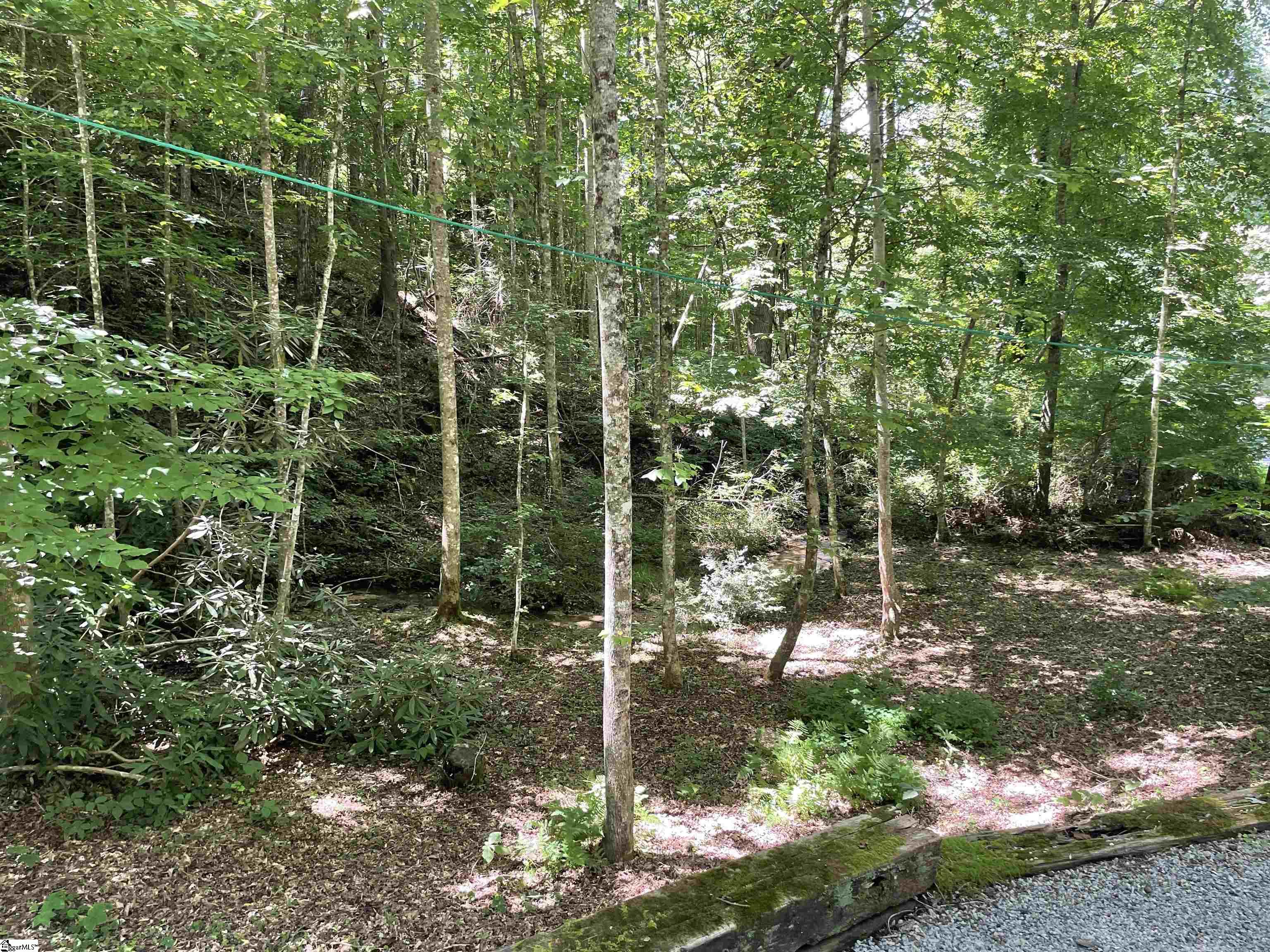 216 Mulligan Ford Hill Road Cleveland, SC 29635 - Photo 4 of 34